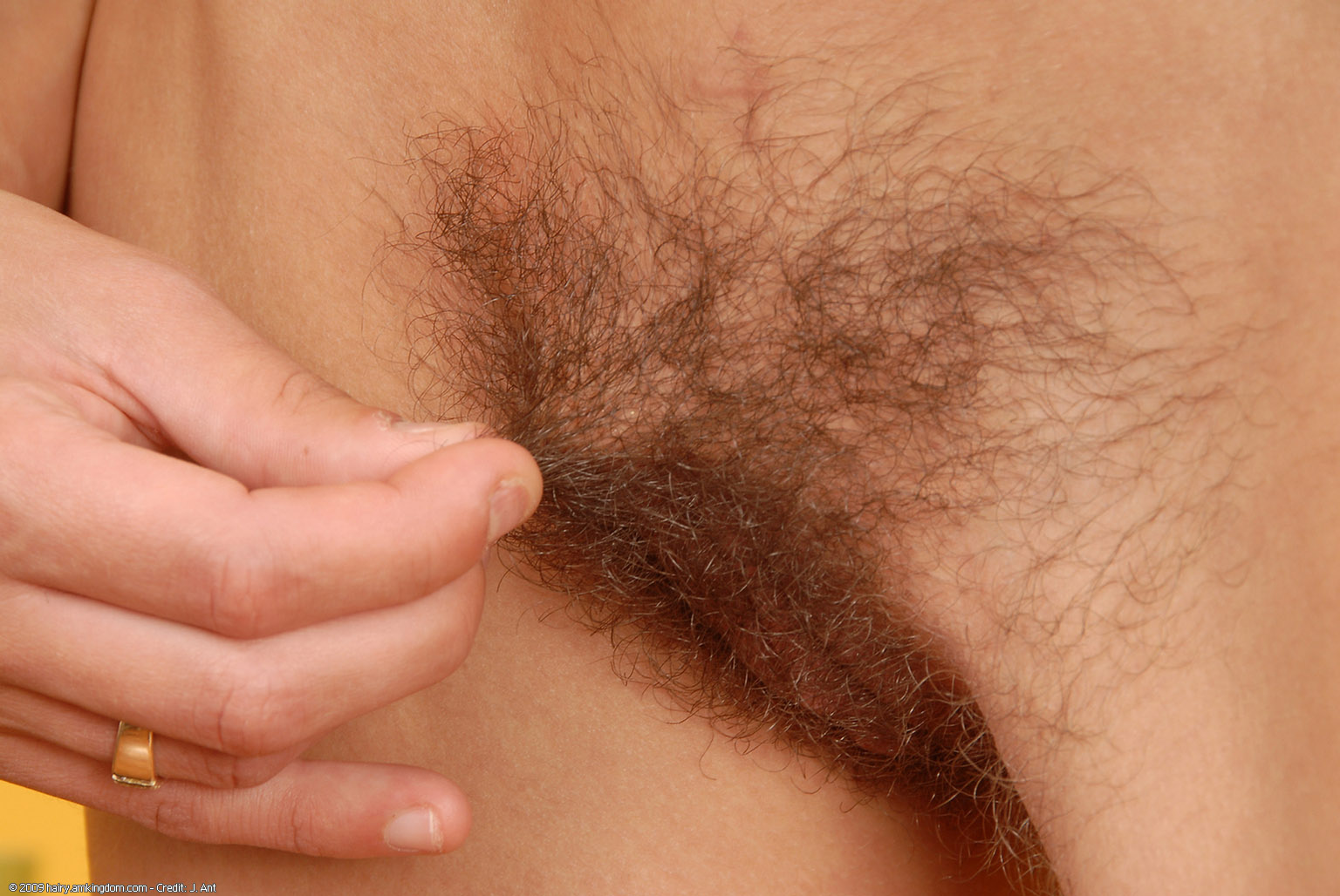 Amanda Atk Natural Hairy « ATK Natural And Hairy « Free ATK Pictures @ Bravo ATK