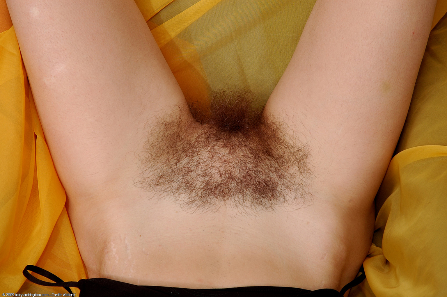 Angelika Atk Natural Hairy « ATK Natural And Hairy « Free ATK Pictures @ Bravo ATK