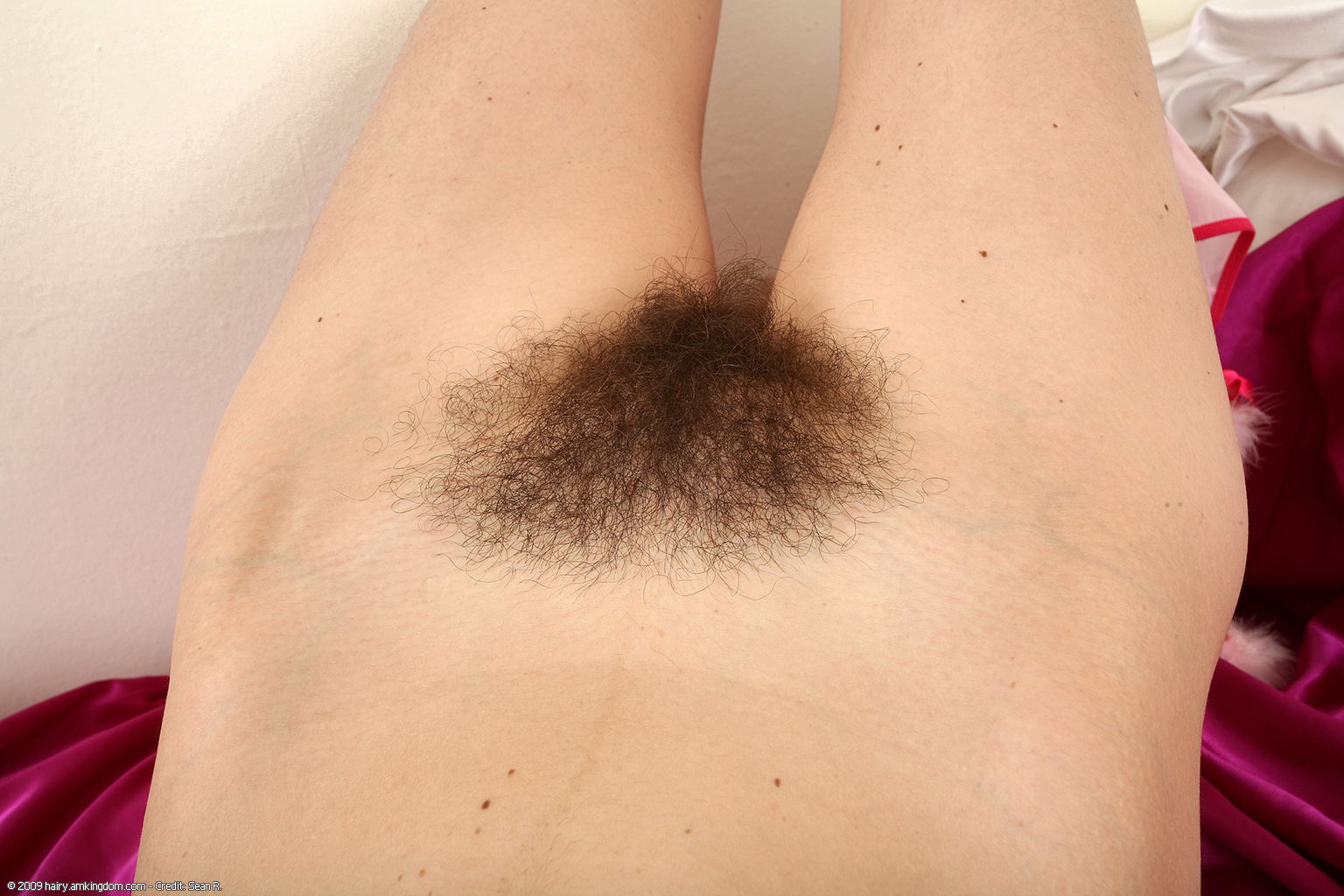 Angelina Atk Natural Hairy « ATK Natural And Hairy « Free ATK Pictures @ Bravo ATK