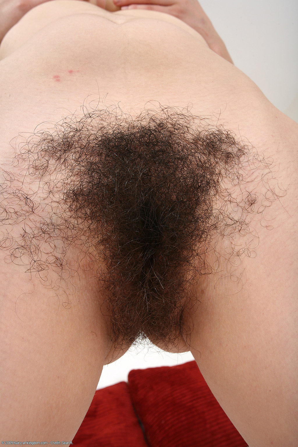 Bella Atk Natural Hairy « ATK Natural And Hairy « Free ATK Pictures @ Bravo ATK