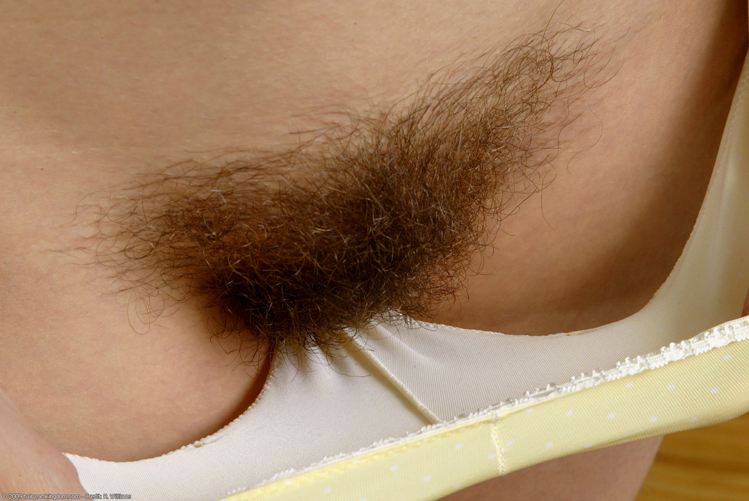 Cameron Atk Natural Hairy « ATK Natural And Hairy « Free ATK Pictures @ Bravo ATK