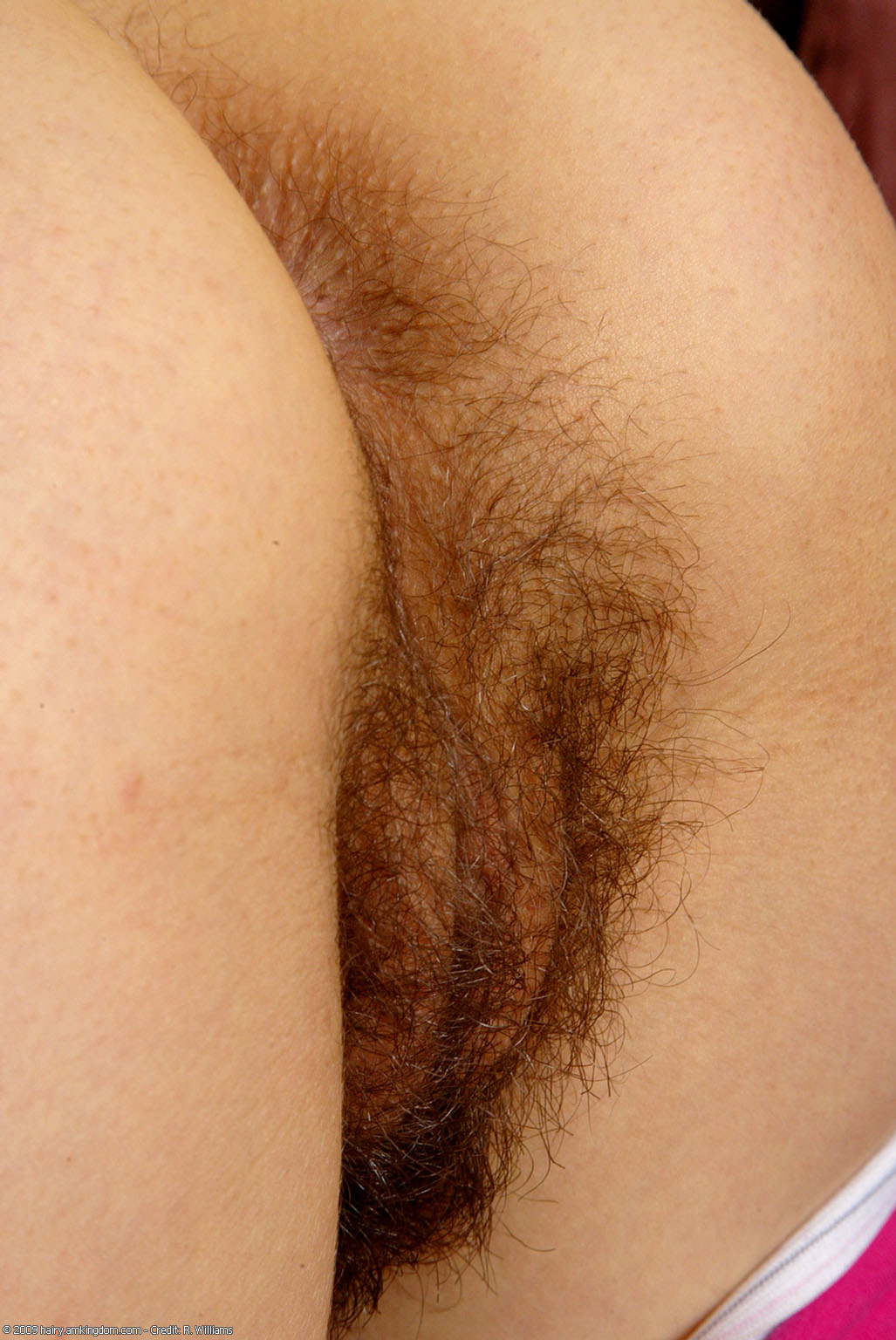 Cameron Atk Natural Hairy « ATK Natural And Hairy « Free ATK Pictures @ Bravo ATK