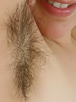 Go to Atk Bush Hairy Free Pictures Gallerie