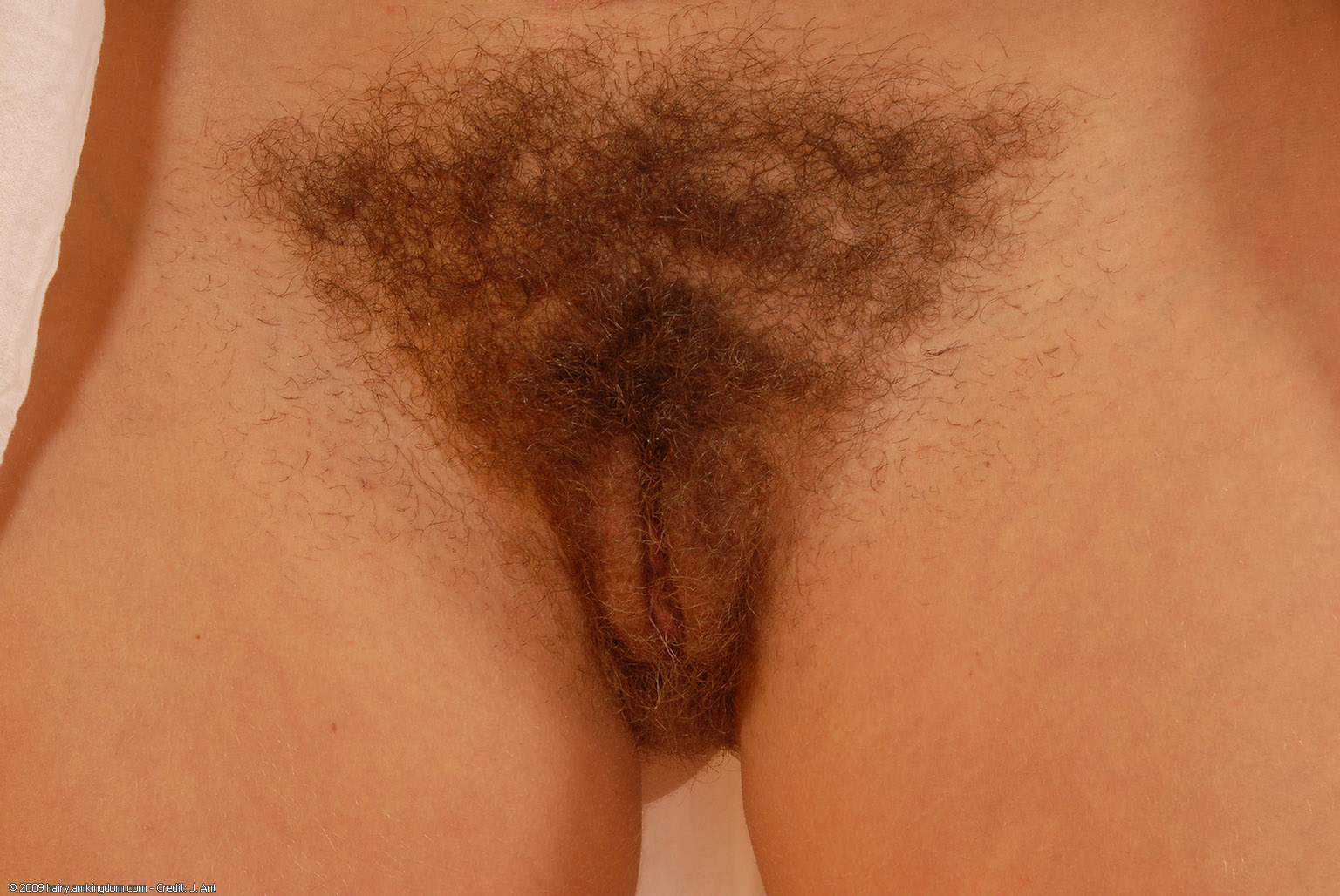 Celine Atk Natural Hairy « ATK Natural And Hairy « Free ATK Pictures @ Bravo ATK