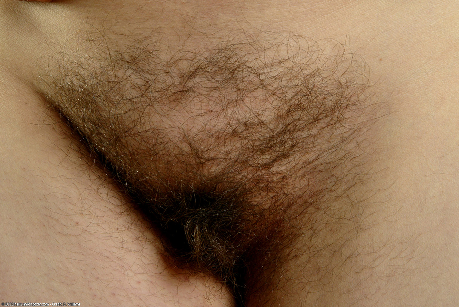 Cori Atk Natural Hairy « ATK Natural And Hairy « Free ATK Pictures @ Bravo ATK