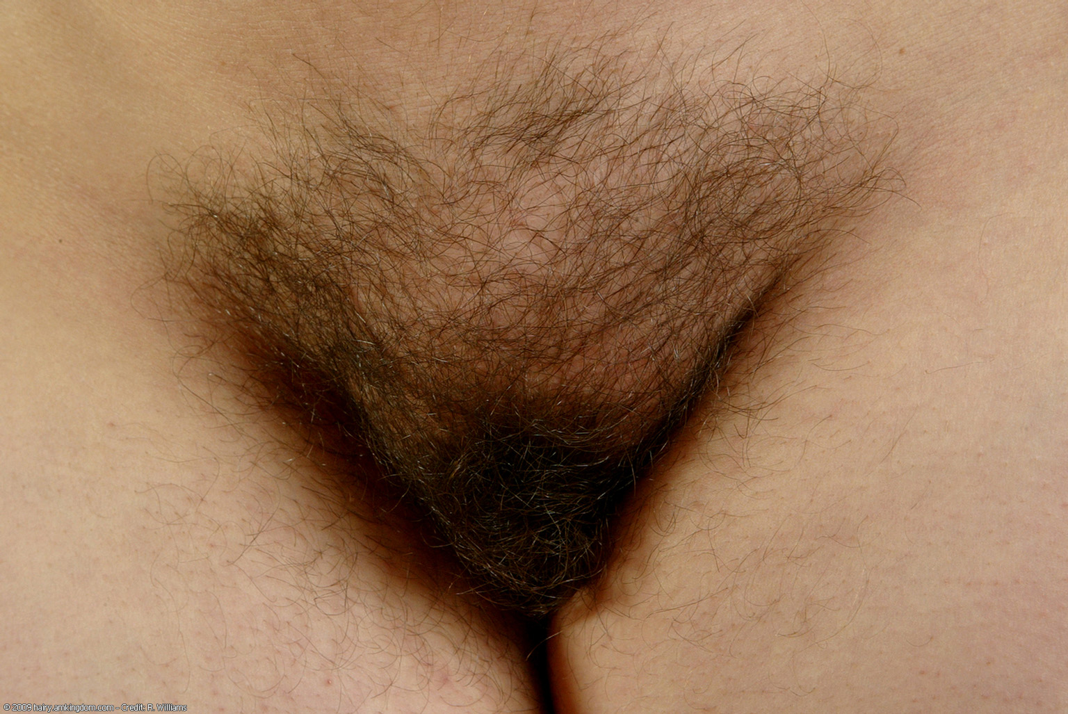 Cori Atk Natural Hairy « ATK Natural And Hairy « Free ATK Pictures @ Bravo ATK