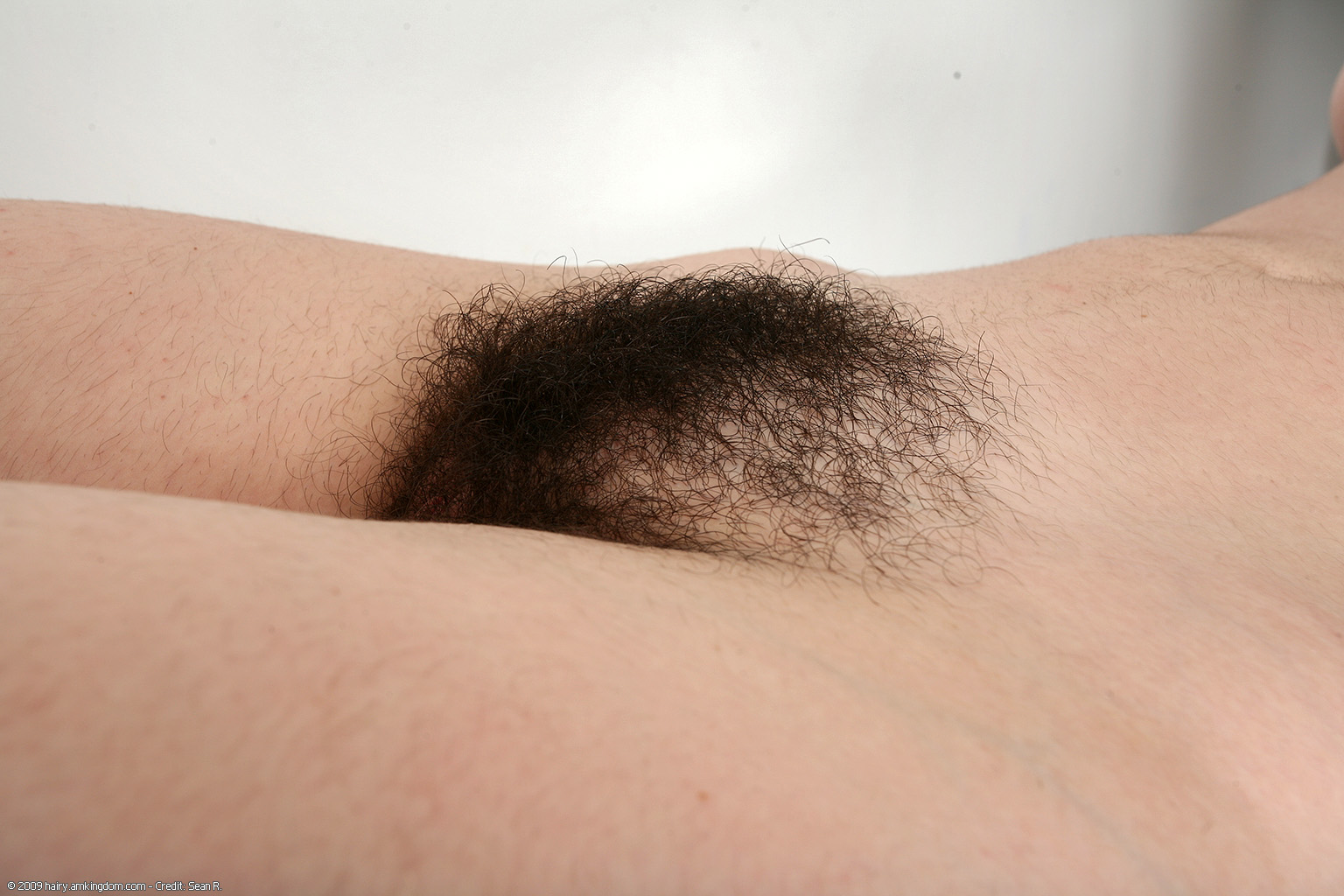 Honey Atk Natural Hairy « ATK Natural And Hairy « Free ATK Pictures @ Bravo ATK