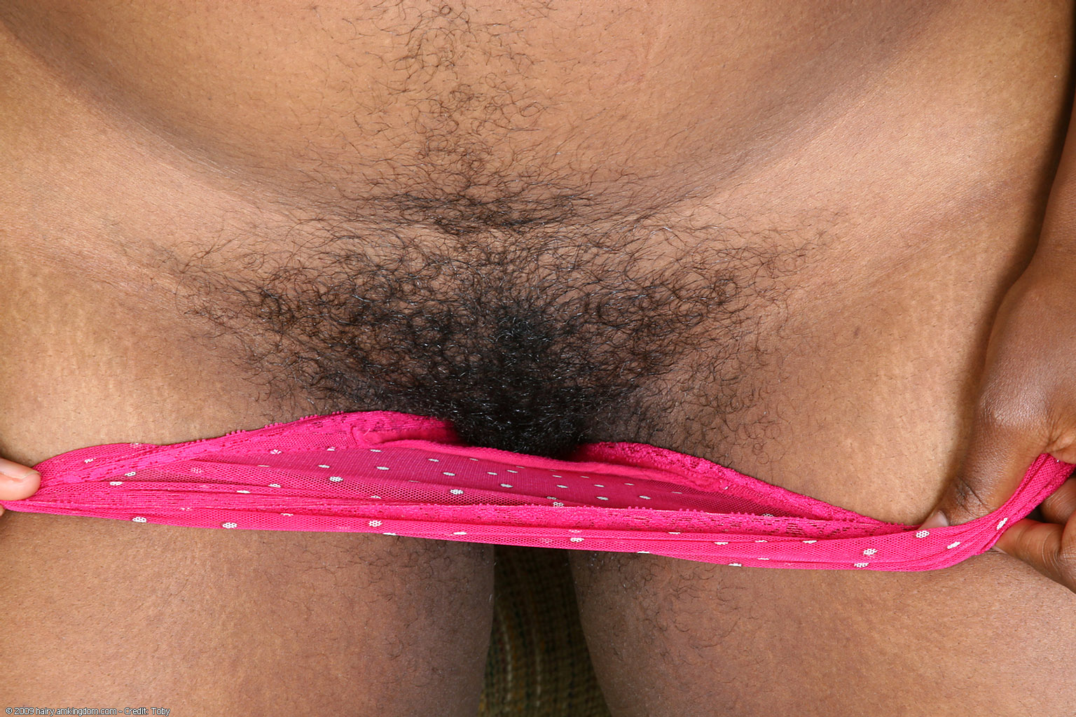 Jastar Atk Natural Hairy « ATK Natural And Hairy « Free ATK Pictures @ Bravo ATK