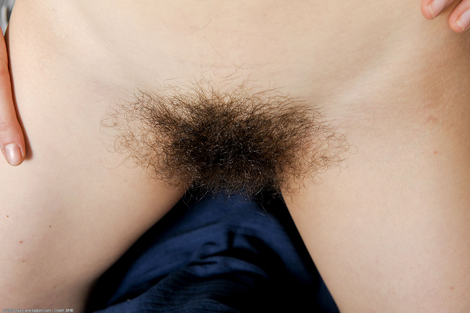 Jeff Atk Natural Hairy « ATK Natural And Hairy « Free ATK Pictures @ Bravo ATK
