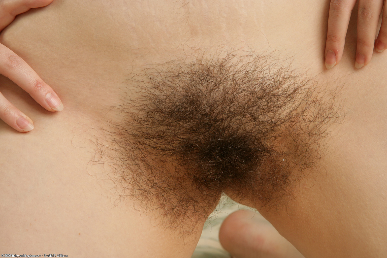 Jenna Atk Natural Hairy « ATK Natural And Hairy « Free ATK Pictures @ Bravo ATK