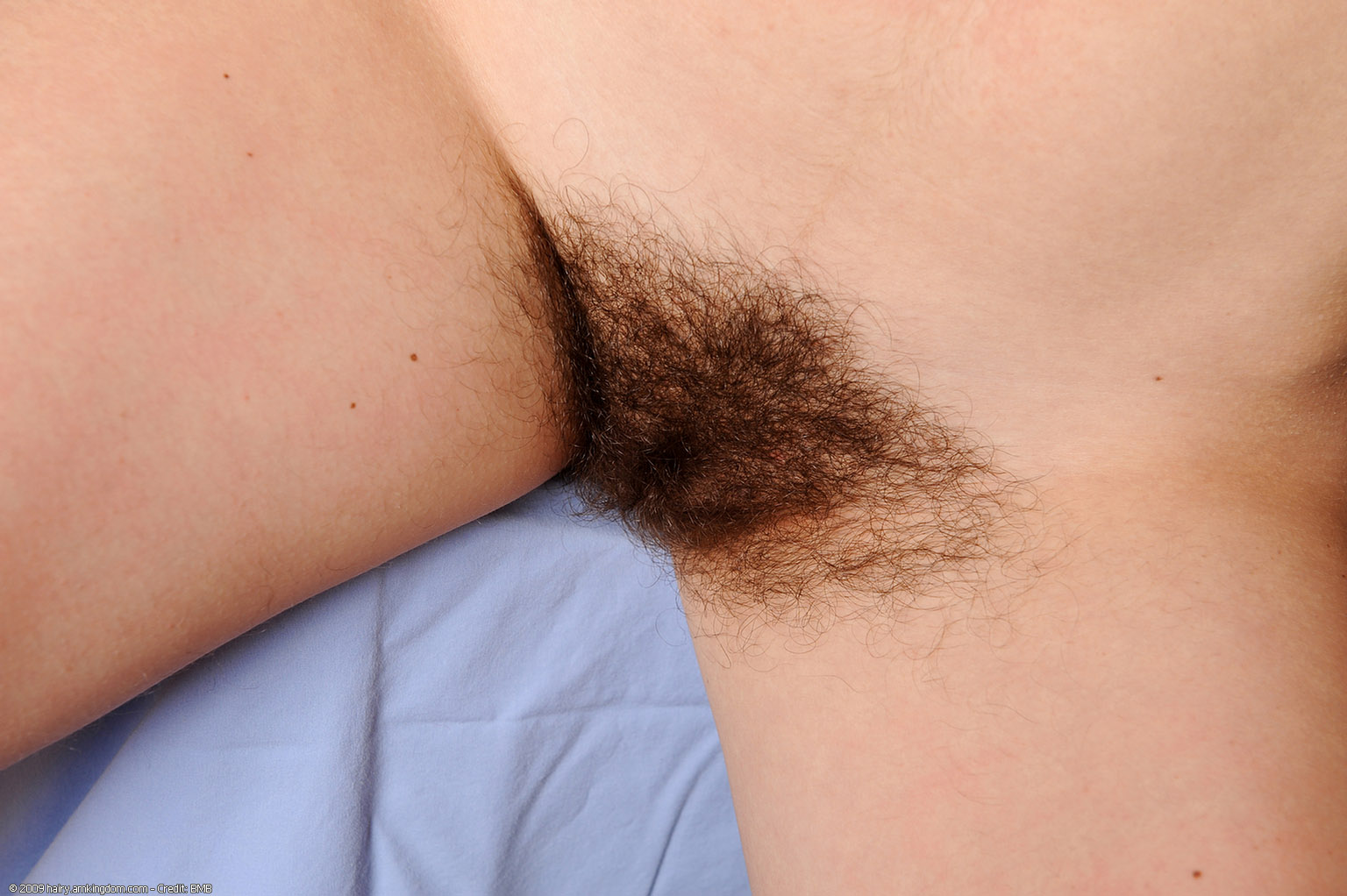 Joe Atk Natural Hairy « ATK Natural And Hairy « Free ATK Pictures @ Bravo ATK