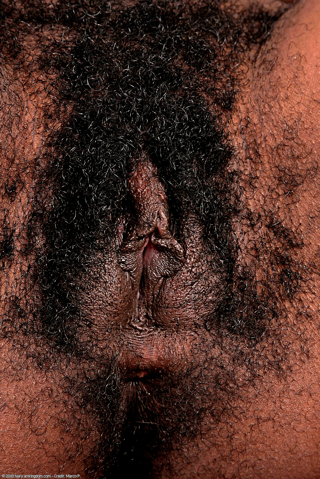 Jordan Atk Natural Hairy « ATK Natural And Hairy « Free ATK Pictures @ Bravo ATK