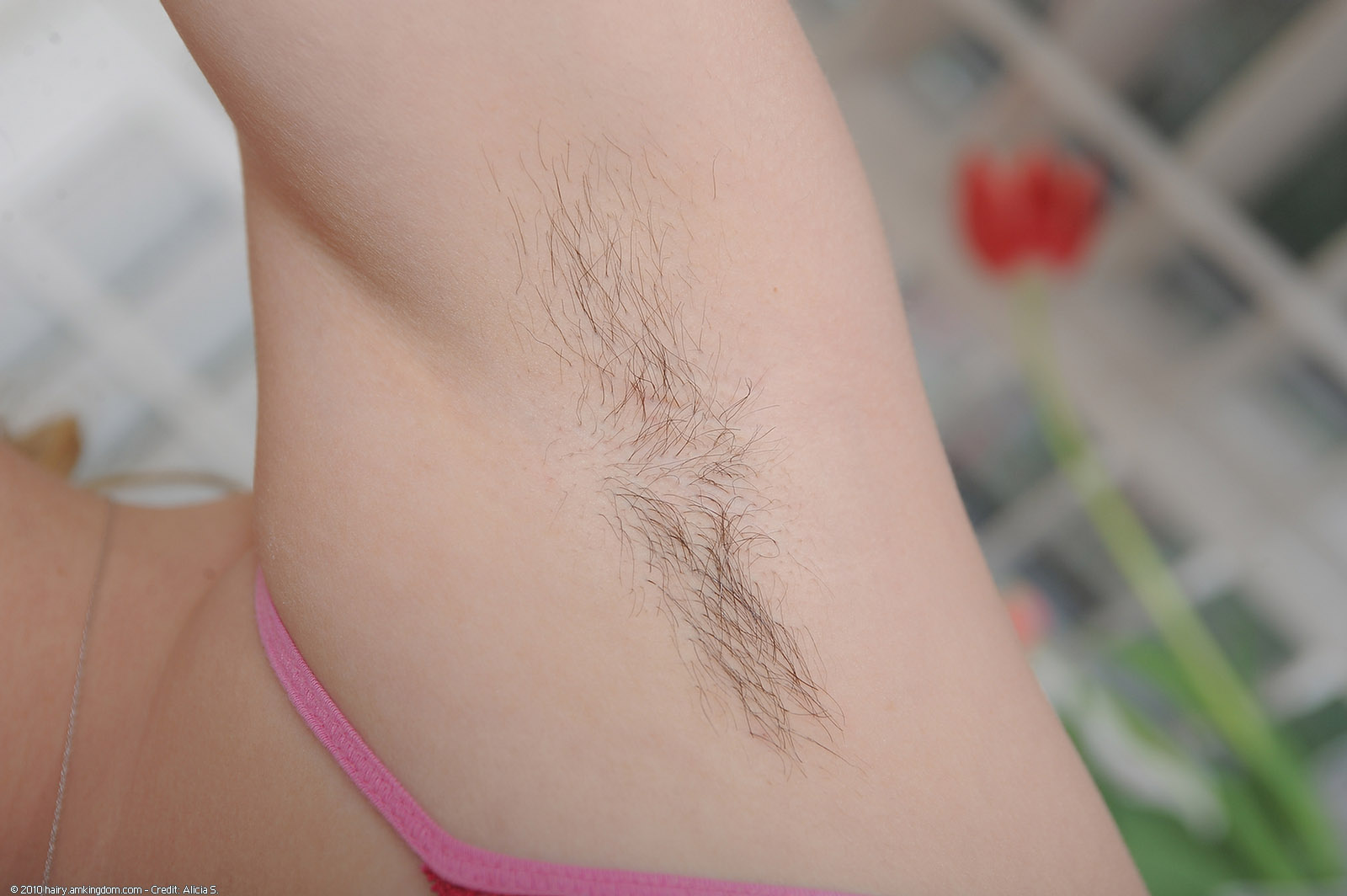 Lynn Atk Natural Hairy « ATK Natural And Hairy « Free ATK Pictures @ Bravo ATK