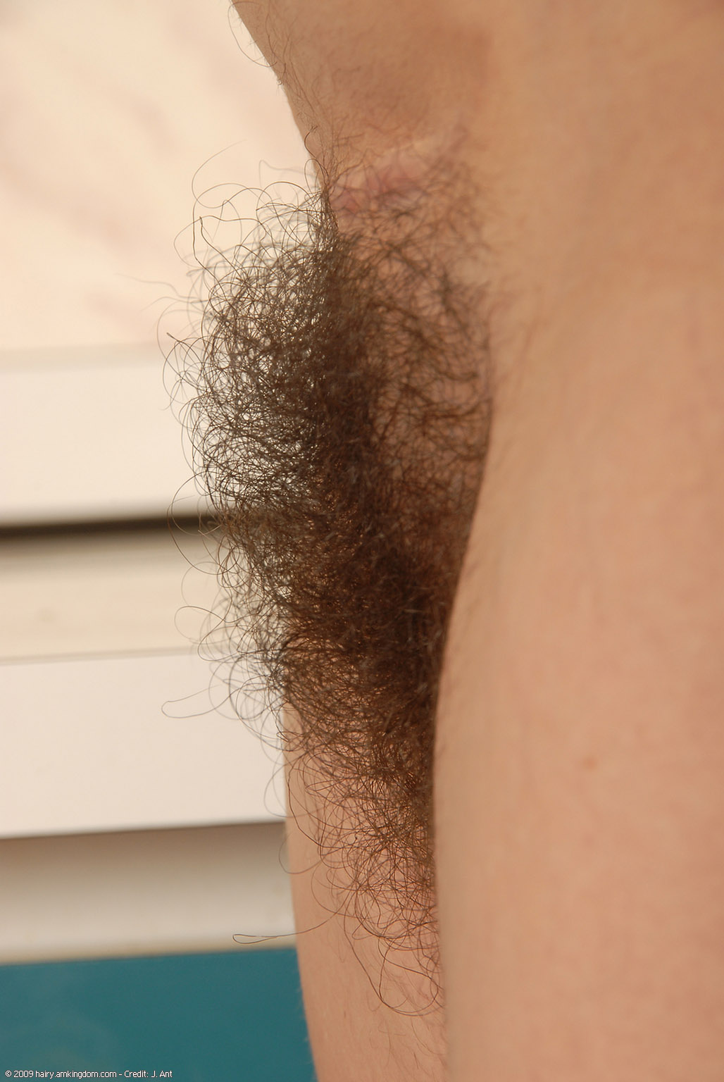 Stella Atk Natural Hairy « ATK Natural And Hairy « Free ATK Pictures @ Bravo ATK
