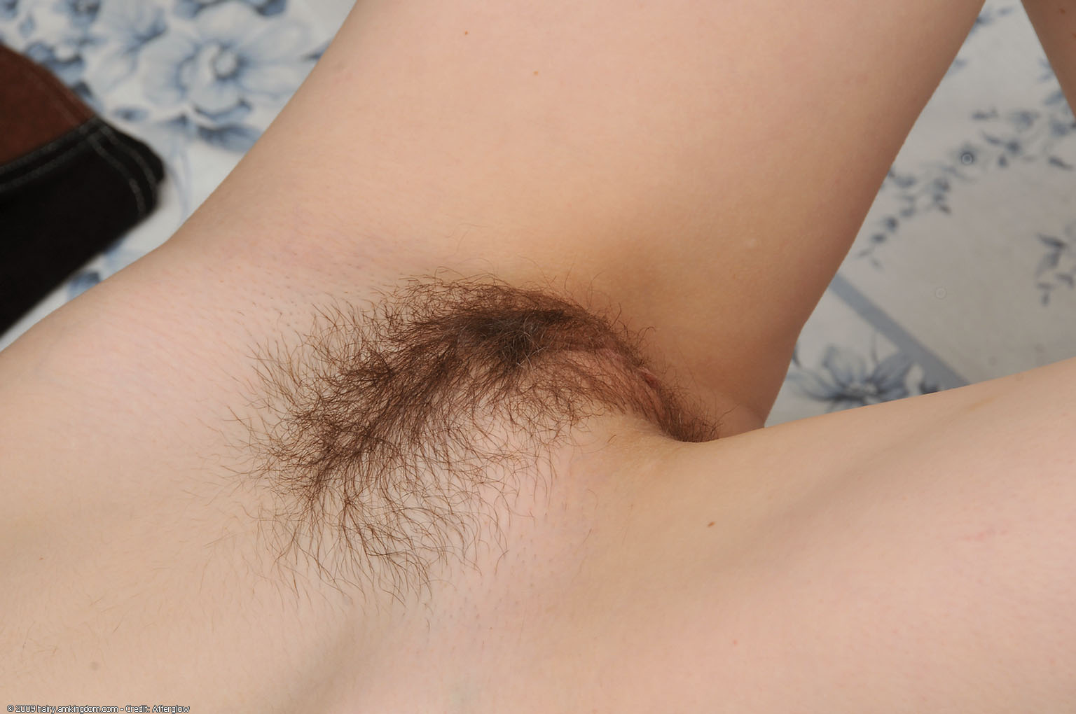 Wendy Atk Natural Hairy « ATK Natural And Hairy « Free ATK Pictures @ Bravo ATK