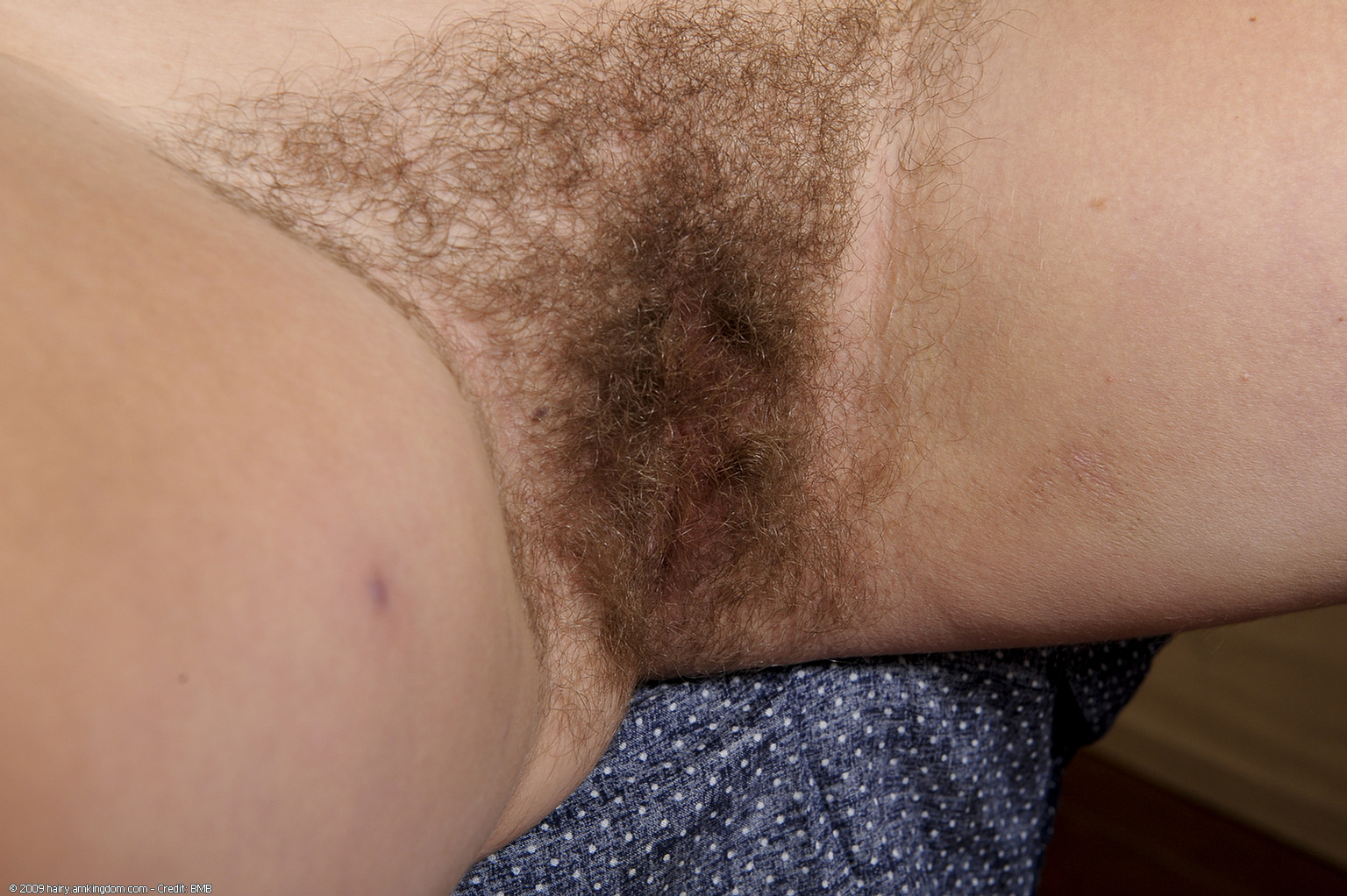 Yanna Atk Natural Hairy « ATK Natural And Hairy « Free ATK Pictures @ Bravo ATK